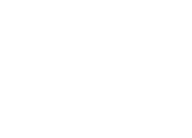 APPLE CHAN